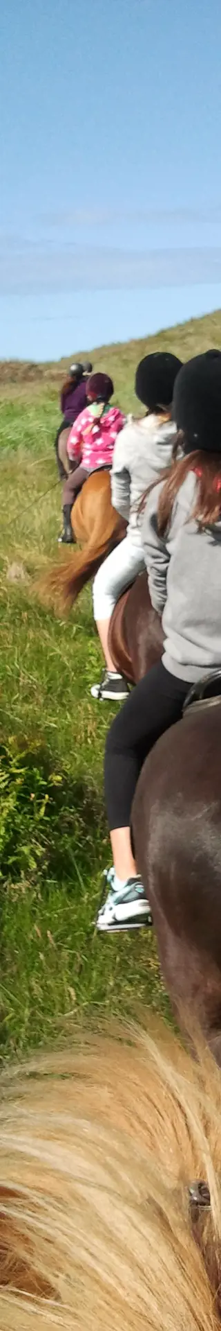 Ausritt auf Islandponys